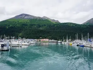 Seward Boat Harbor