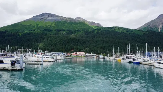 Seward Boat Harbor