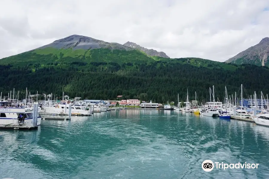 Seward Boat Harbor