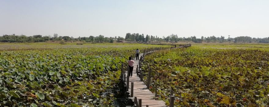 Mai Kae Dam Bridge