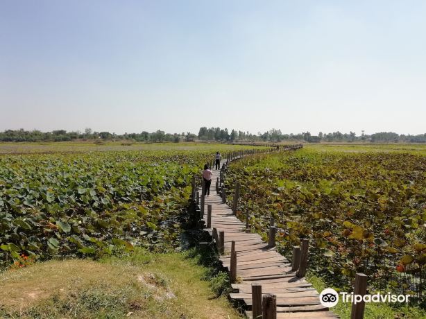 Mai Kae Dam Bridge