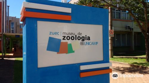 Zoology Museum