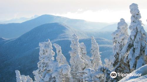 Mt Mansfield