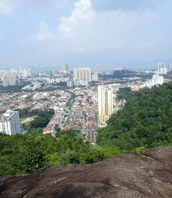 Jelutong