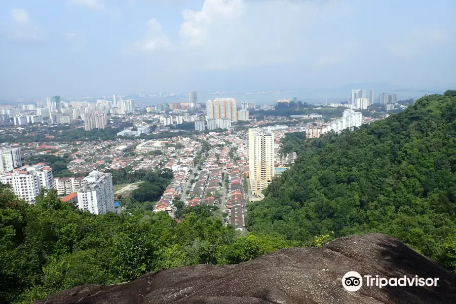 Bukit Hijau