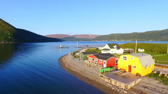 Gros Morne Adventures - Guided Day Hikes