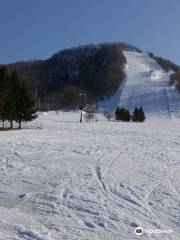 Fu's Snow Area