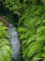 Mount Hope Waterfall