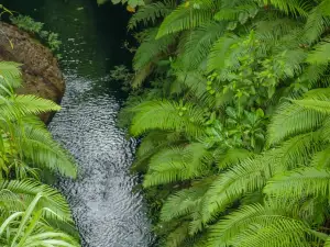 Mount Hope Waterfall