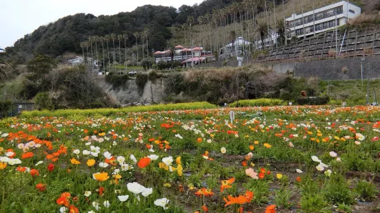 Shirahama Flower Park