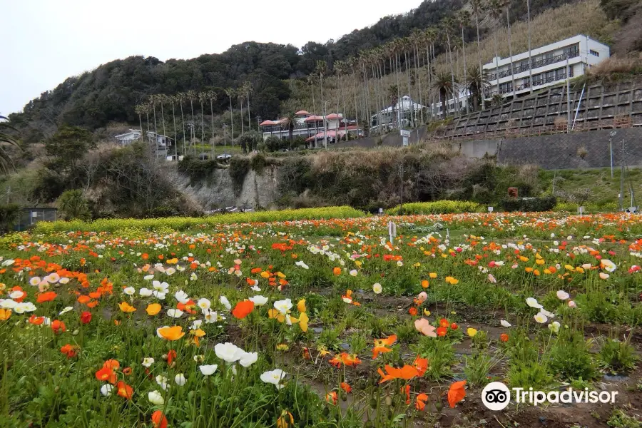 Shirahama Flower Park