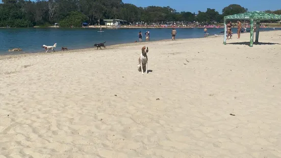 Palm Beach Dog Off-Leash Beach
