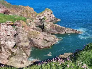 Arbroath Cliffs