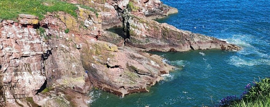Arbroath Cliffs