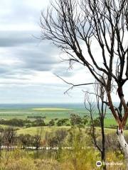 Brooks lookout