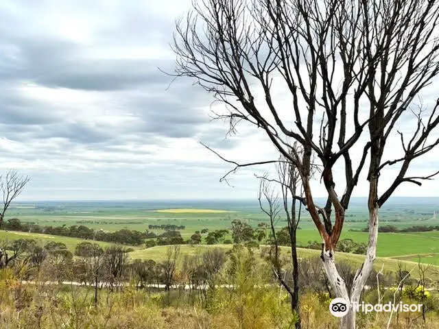 Brooks lookout