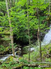 Cascade des oules