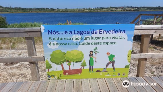 Lagoa da Ervedeira