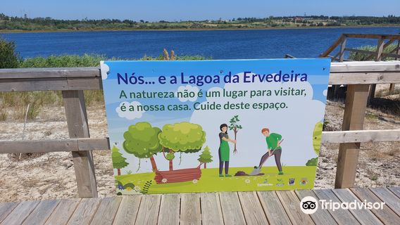 Lagoa da Ervedeira