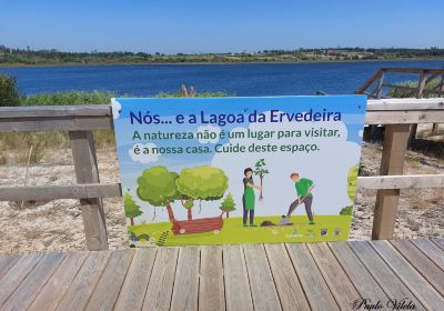 Lagoa da Ervedeira