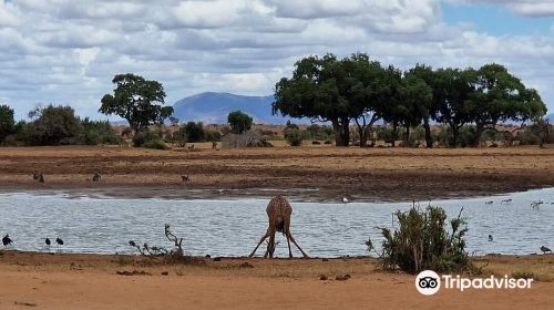 Glorious Safaris