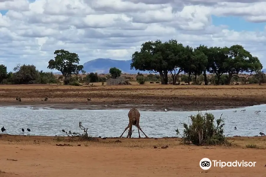 Glorious Safaris