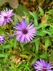 State Arboretum of Virginia