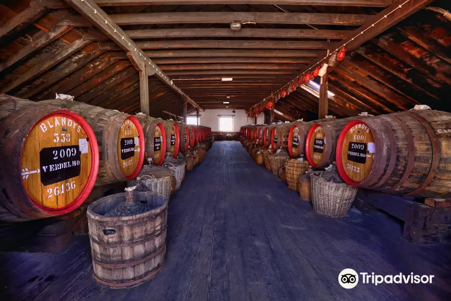 Blandy's Wine Lodge (former Adegas de São Francisco)