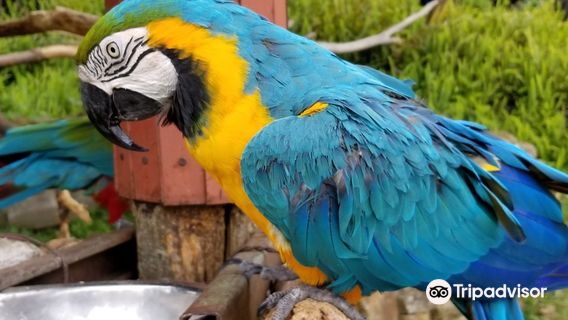 Cape Nagasakibana Parking Garden