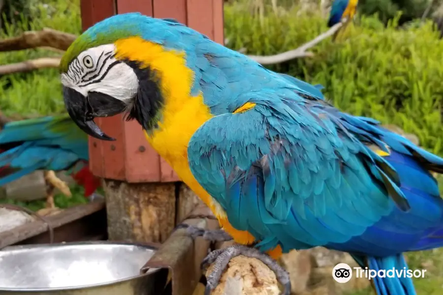 長崎鼻休息站動物花園