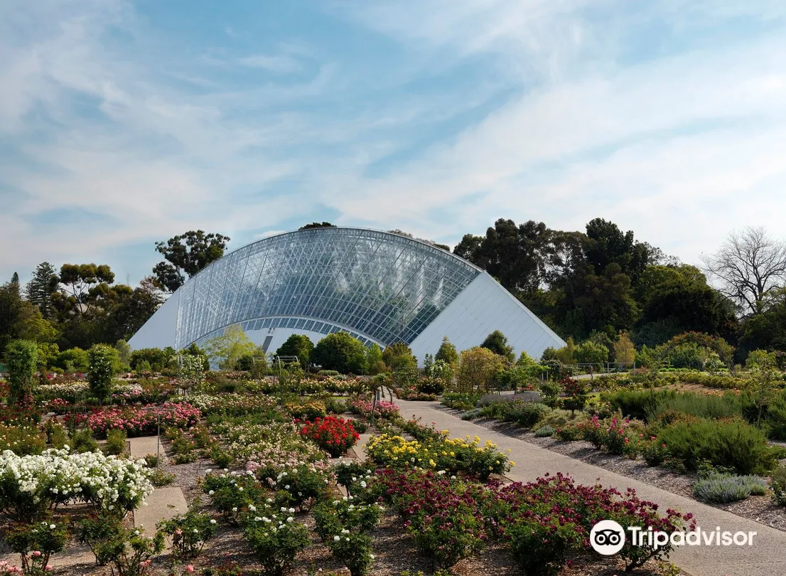 2_Adelaide Botanic Garden
