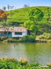 Vagamon Meadows Lake