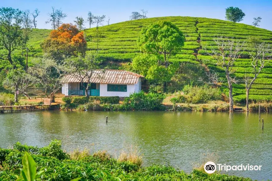 Vagamon Meadows Lake