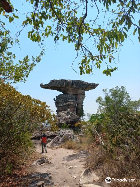 Fortaleza to Monte Alegre Flights
