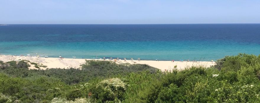 Lido Dog Beach