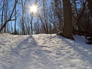 Kettle Moraine State Forest- Pike Lake Unit