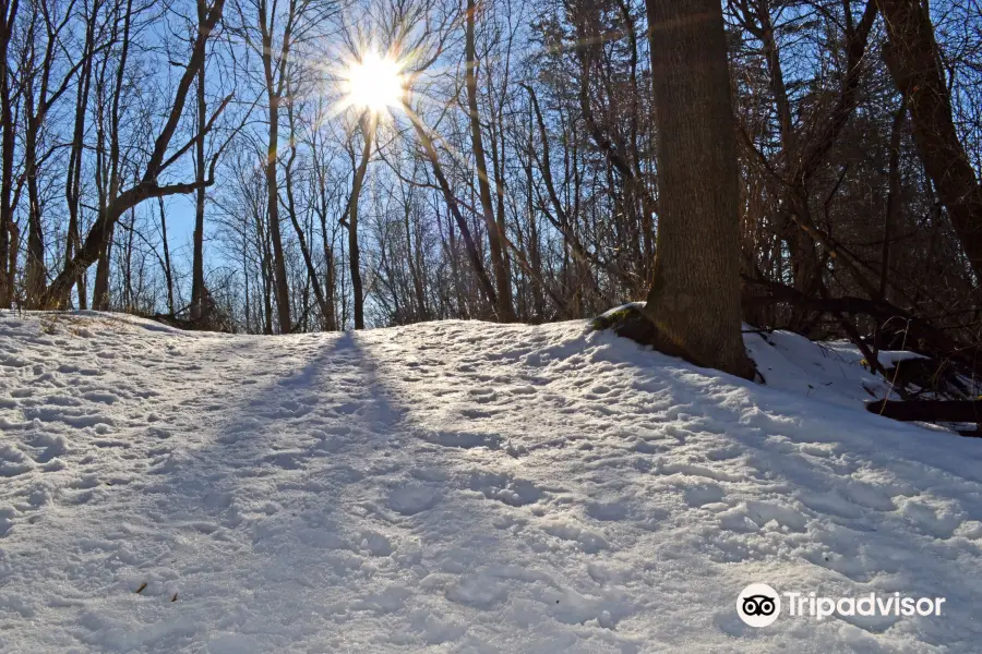 Kettle Moraine State Forest- Pike Lake Unit