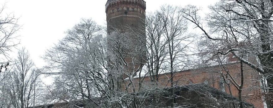 Czluchow County
