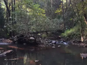 Phiphidi Waterfalls