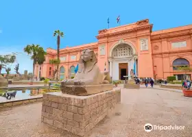이집트 유물 박물관