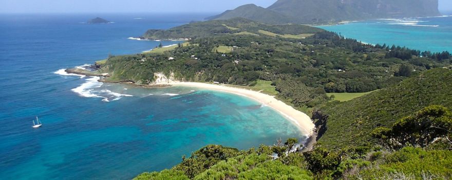 Neds Beach