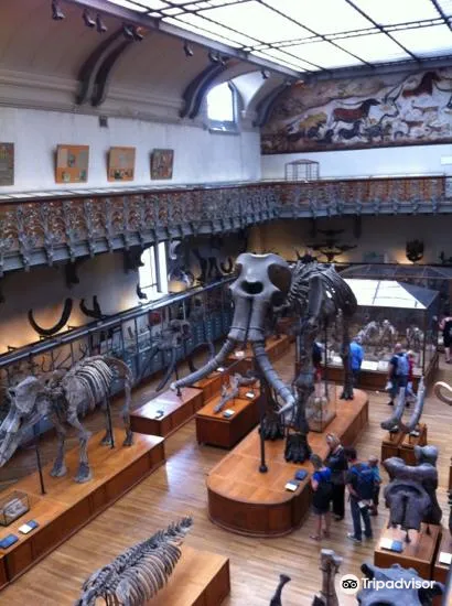 5_Grande Galerie de l'Evolution