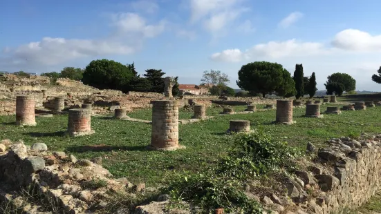 Musée Archéologique d'Aléria