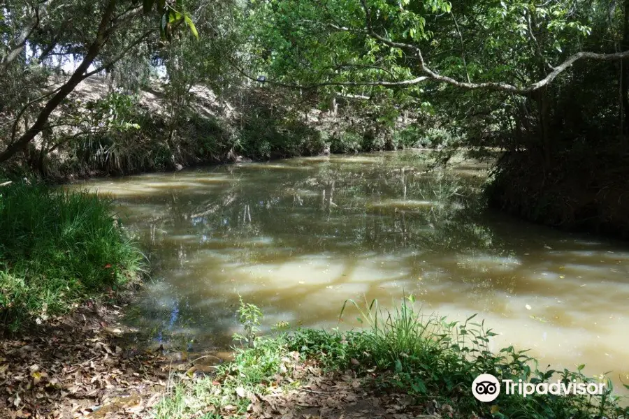 Peterson Creek – Wildlife & Botanical Walking Track