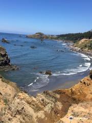 Otter Point State Recreation Site