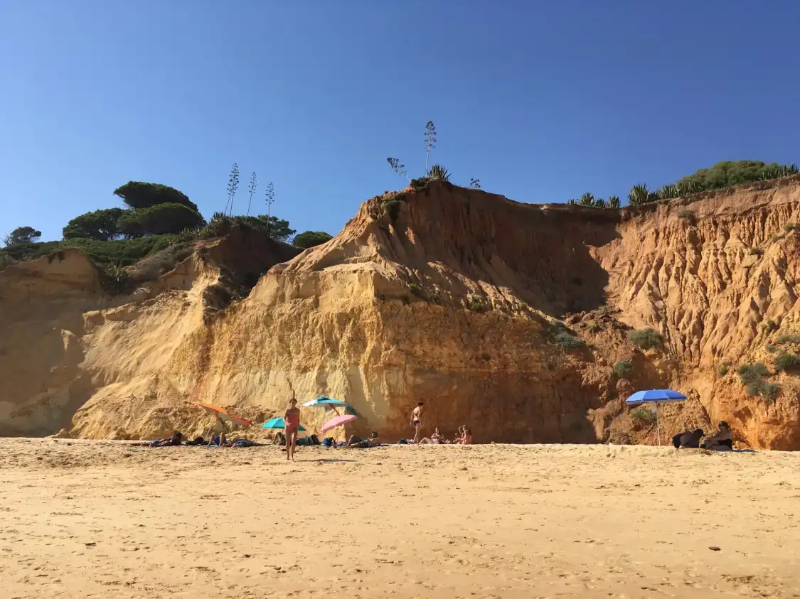 Hotels near Maria Luisa Beach