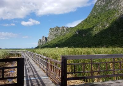 Bueng Bua Wood Boardwalk(Thung Sam Roi Yot)