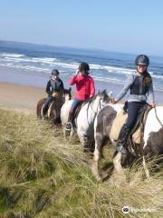 Donegal Equestrian Centre