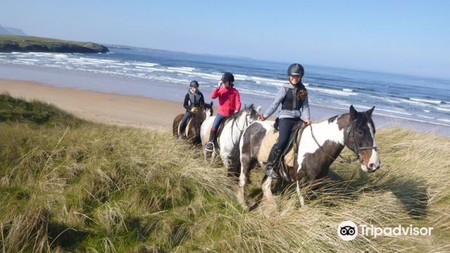Donegal Equestrian Centre