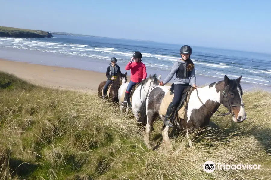 Donegal Equestrian Centre